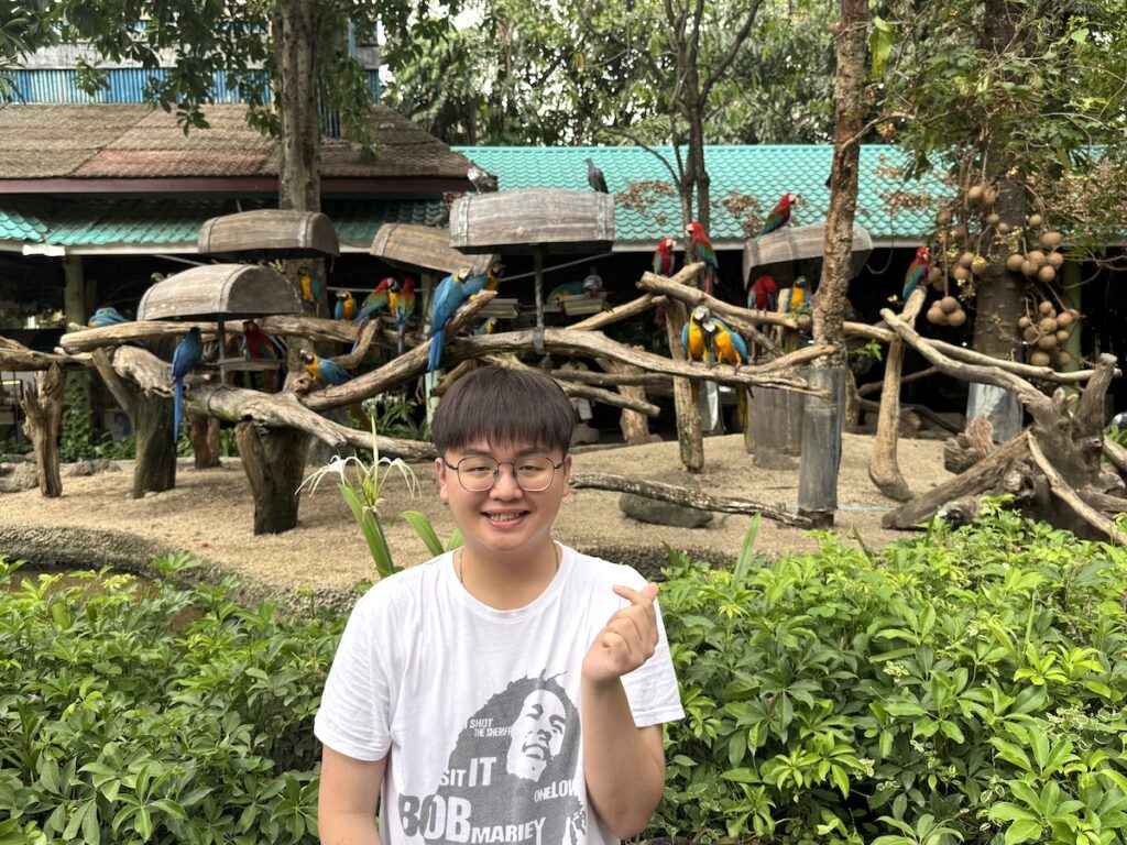 Parrots (or macaws?)