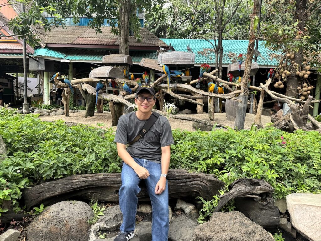 Parrots (or macaws?)