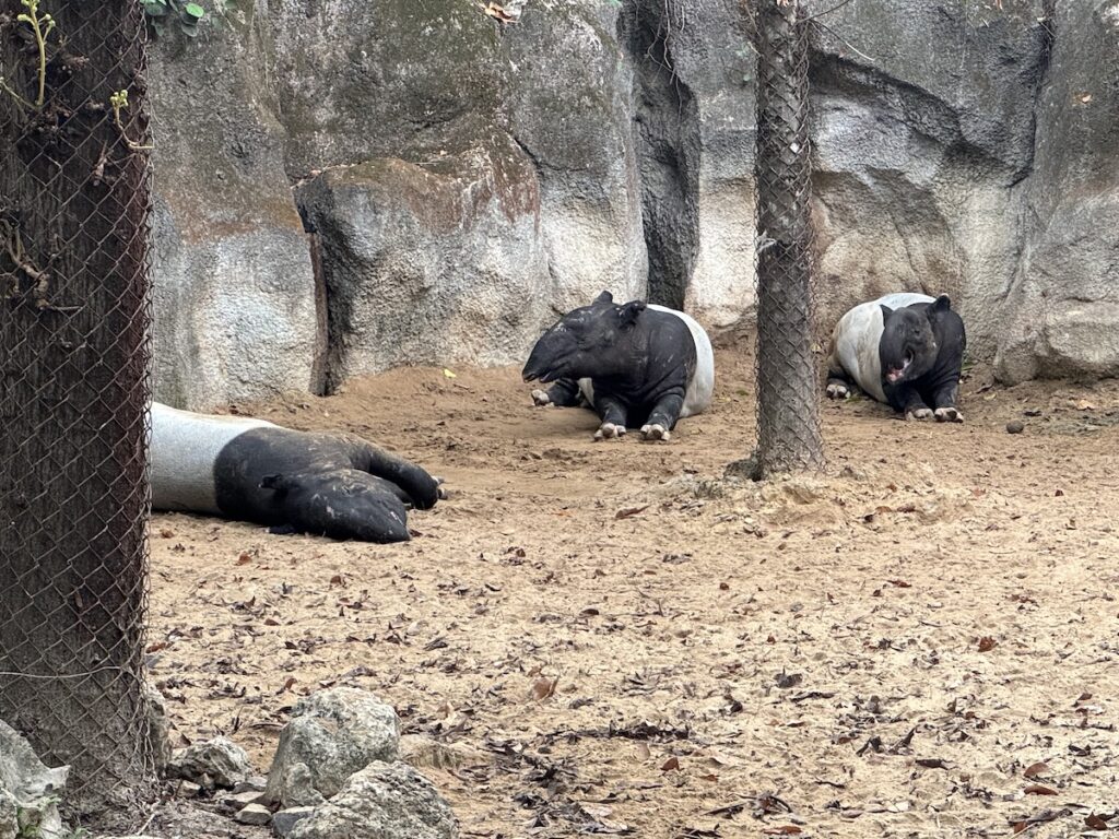 Hmm... what that was?